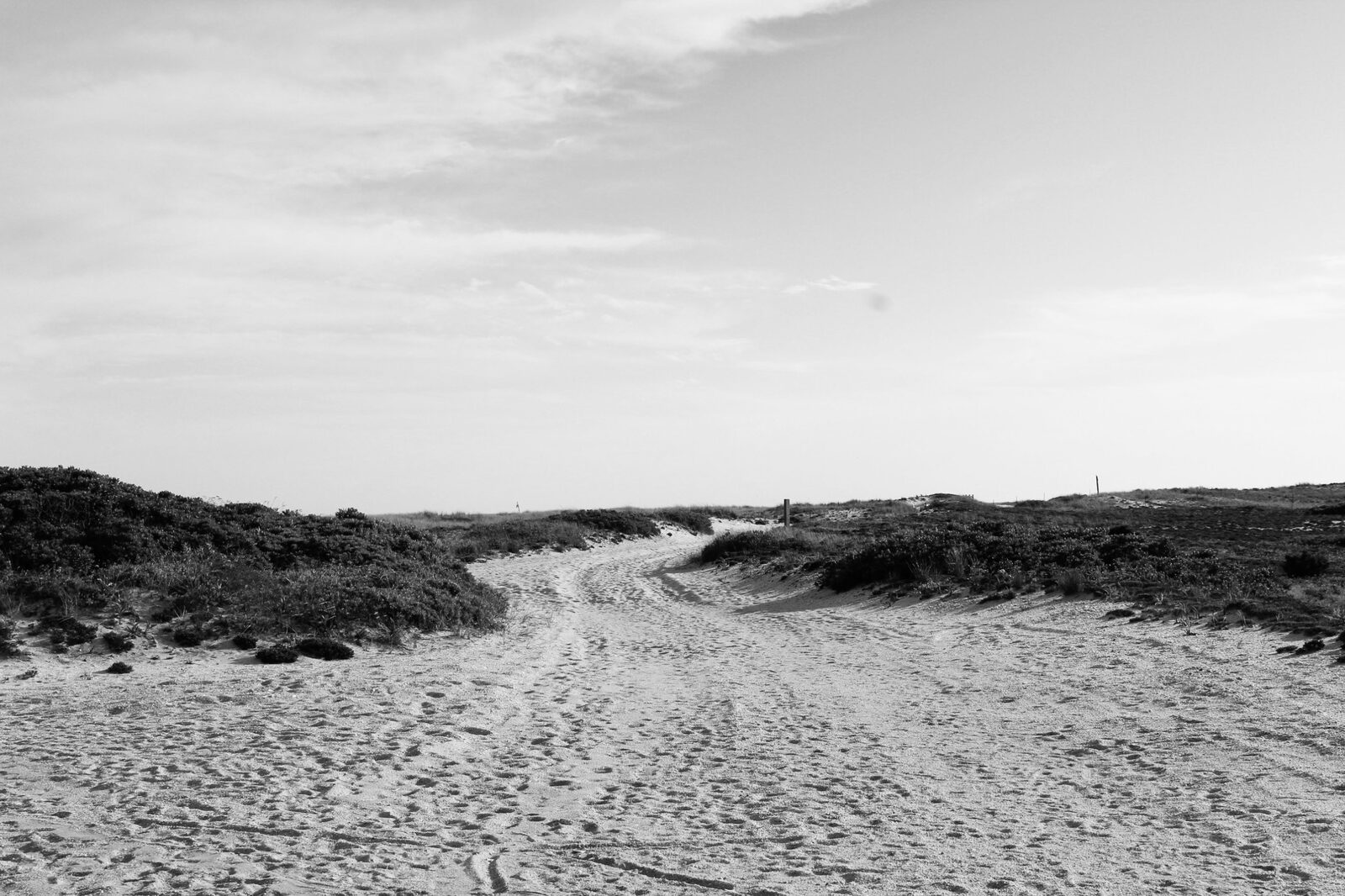 Black-and-white sandy path winding through the dunes at Cooper's Beach